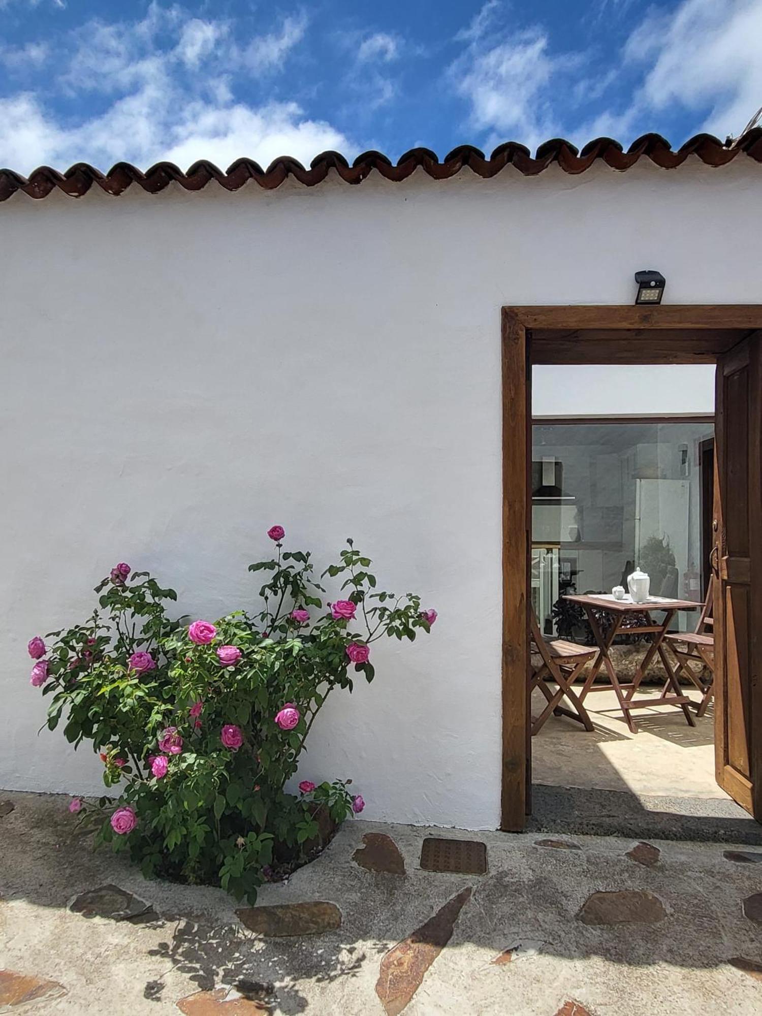 Autentica Casa Rustica Canaria *